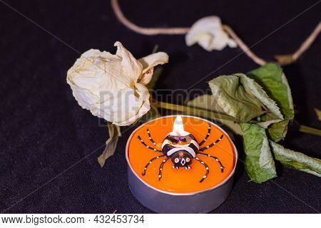 A Dry Dead White Rose And A Burning Spider Candle On The Black Background With Dead Leavees And A Ro