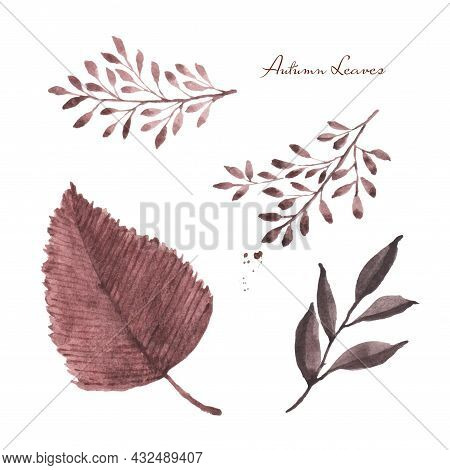 Set Of Fall Leaves Watercolor Hand-painted Isolated On White Background. Illustration Perfect For De