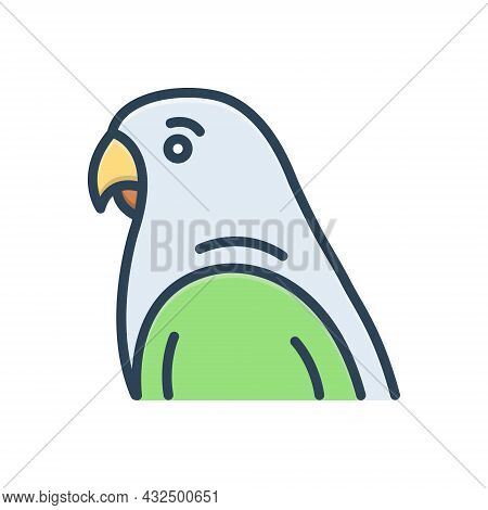 Color Illustration Icon For Parakeet Popinjay Popinjay Parrotlet Bird Parrot