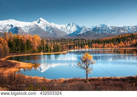 Kidelu Lake In Altai Mountains, Siberia, Russia. Snow-covered Mountain Peaks And Yellow Autumn Fores