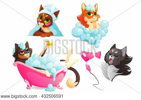 Cats Or Dogs Spa And Grooming Service, Funny Kittens And Puppies Enjoying Salon Procedures, Pets Dry