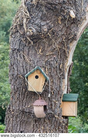 Handmade Bird Boxes Hanging From A Tree Trunk. Wooden Nesting Box In Woodland Forest.