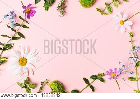 Fresh Herbs, Flowers And Notebook For Making Herbarium Or Handemade Decoration