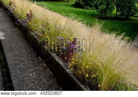 On The Edge Of The Elevated Terrace Overlooking The Park Is A Concrete Long Flowerpot With A Concret