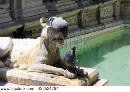 Fountain And Details In The Piazza Del Campo Di Siena In Tuscany