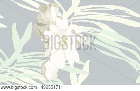 Abstract Flower Design Concept. Abstract Flower Illustration.