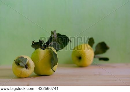 Antonovka Apple Harvest Still Life. Late-fall Apples On Wooden Table