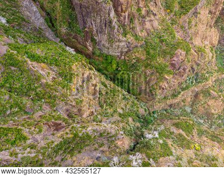 Top View Of Scarce Vegetations Growing On Harsh Volcanic Environment.