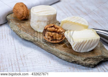 Cheese Collection, Soft Goat French Cheese With Mold Crottin De Chavignol Produced In Loire Valley