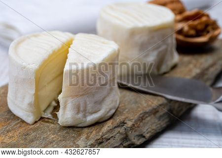 Cheese Collection, Soft Goat French Cheese With Mold Crottin De Chavignol Produced In Loire Valley