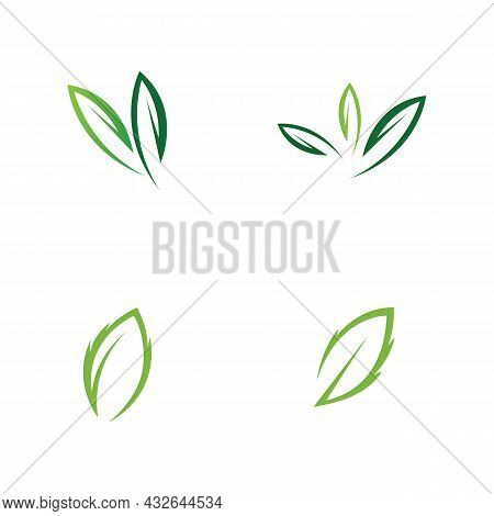Logos Of Green Leaf Ecology Nature Element Vector