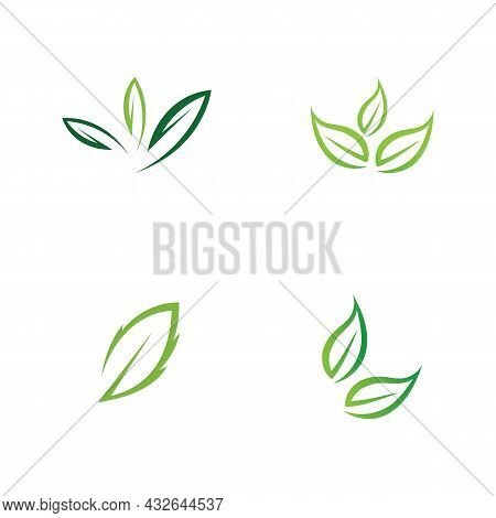 Logos Of Green Leaf Ecology Nature Element Vector