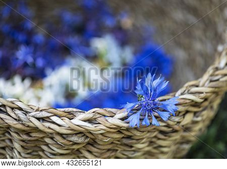 Many Flowers In Basket For Making Plant Tincture