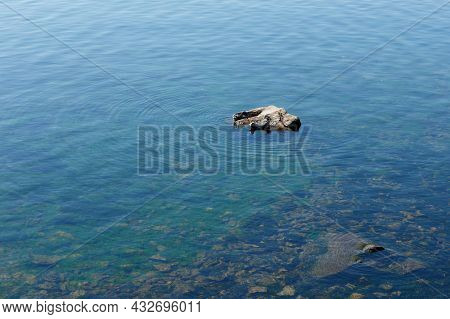 Lake Baikal. Two Baikal Seals Are Resting On A Rock And Basking In The Sun.