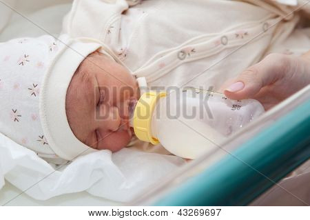 Newborn Girl In The Maternity Hospital