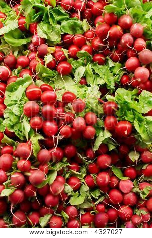 frische Rettich Hintergrund