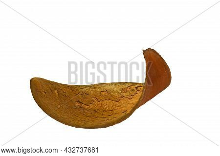 Seeds Tree( Iron Wood, Irul, Jamba, Pyinkado,xylia Xylocarpa) Isolated On White Background.saved Wit