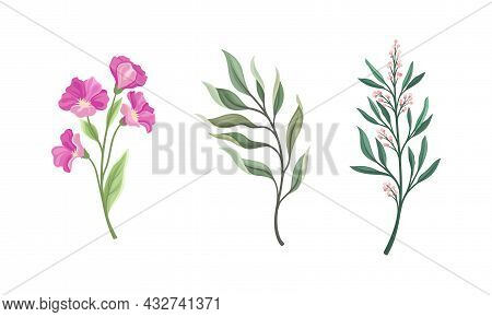 Twig And Foliage With Stem, Leaves And Blooming Flower Vector Set