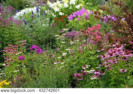 Colorful Perennial Beds With Flowering Shrubs. It Is A Mixture For Bees. The Park Arrangement Of A W