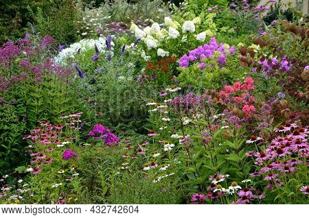 Colorful Perennial Beds With Flowering Shrubs. It Is A Mixture For Bees. The Park Arrangement Of A W