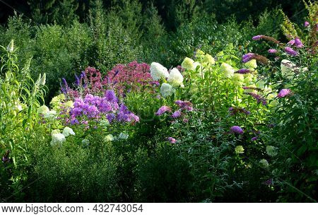 Colorful Perennial Beds With Flowering Shrubs. It Is A Mixture For Bees. The Park Arrangement Of A W