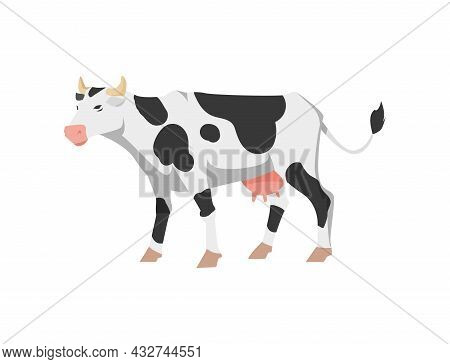 Cartoon Holstein Frisian Breed Cow For Milk, Dairy Products And Meat