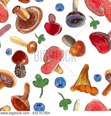 Seamless Watercolor Pattern Of Edible Wild Mushrooms