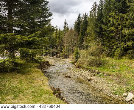 Kamianka River At The Carpathian Mountains