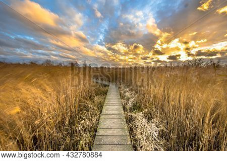 Wooden Walkway Through Salt Tidal Marsh In Natura 2000 Area Dollard, Groningen Province, The Netherl