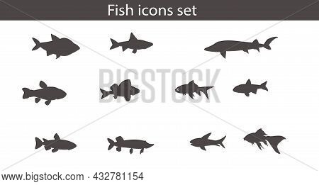 Fish Icons Set. Black Color. Vector Stock Illustration. Flat Design. White Background. Shark. Goldfi