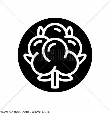Cotton Clothing Washing Glyph Icon Vector. Cotton Clothing Washing Sign. Isolated Contour Symbol Bla