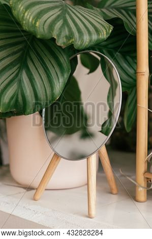 Potted Houseplant Calathea Orbifolia And Mirror In A Decorative Frame On The Table In Home Interior.