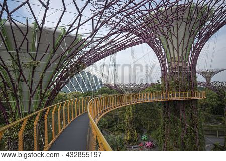 Singapore- Sep 9, 2021: Ocbc Skyway Aerial Walkway Between Supertree Grove Artificial Tree Construct