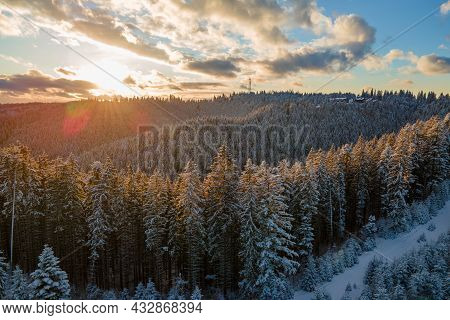 Winter Landscape With Spruse Trees Of Snow Covered Forest In Cold Mountains.