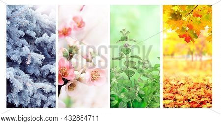 Four seasons of year. Set of vertical nature banners with winter, spring, summer and autumn scenes. Copy space for text