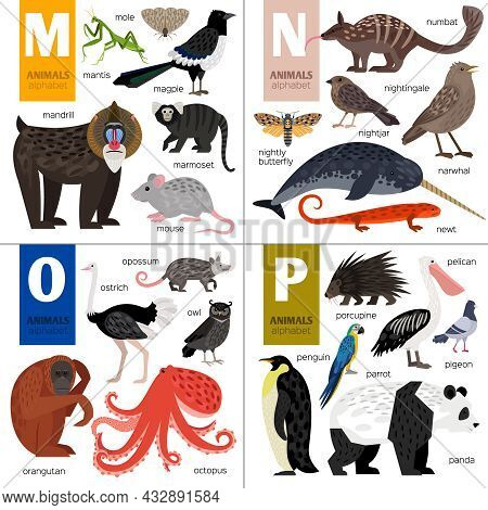 Abc Different Vector Animals. Cute Zoo Alphabet.