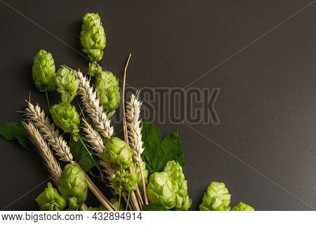 Wheat Beer Concept Background. Cones Of Hops And Wheat Ears
