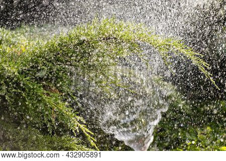 Modern Device Of Irrigation Garden. Irrigation System - Technique Of Watering In The Garden. Lawn Sp