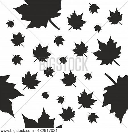 Black And White Maple Leaf Pattern. Seamless Pattern