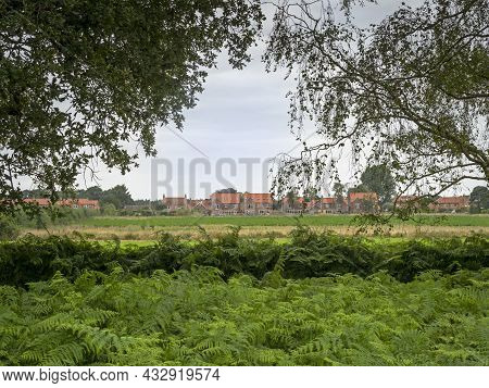 Skipwith Village Seen Through Trees From Skipwith Common, North Yorkshire, England