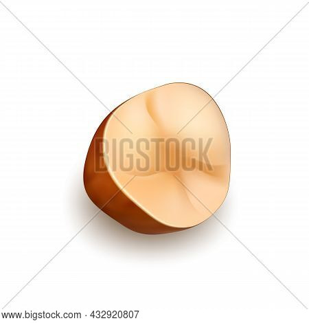 Brazil Nut Crop Cut Piece Natural Food Vector. Crashed Raw Brazil Nut Garden Tree Product. Fresh Har