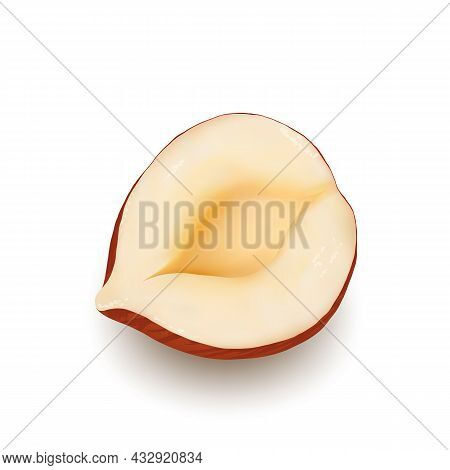 Hazelnut Nut Kernel Cut Piece Tasty Food Vector. Crashed Hazelnut Ingredient For Bake Cookies And Pi