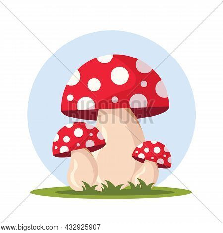 Red Mushrooms Isolated On White Background. Autumn Mushrooms Concept. Red Fly Agarics.. Vector Stock