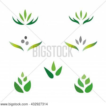 Set Of Various Floral Fresh Green Logo Sign Lotus Buds Leaf Identity