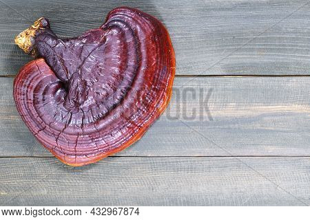 Ganoderma Lucidum Mushroom On Wooden Floor