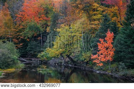 Colorful autumn trees and its reflection in water along Dead river in Michigan Upper peninsula