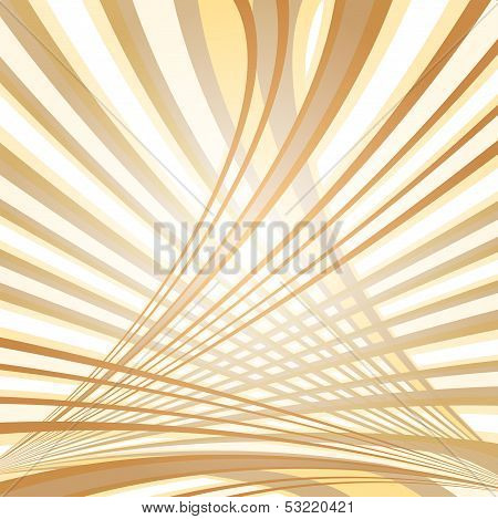 Lines in spase
