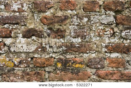 300 Vuotta vanha tiili kivimuuri Close View