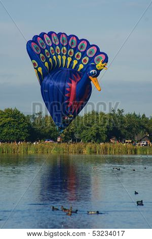 Balloons Over Waikato