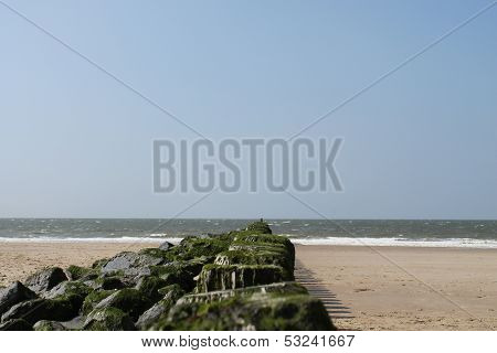 breakwater on the beach